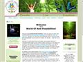 Global Breath Institute