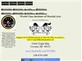 Michigan Institute of Qigong Healing & Wellness